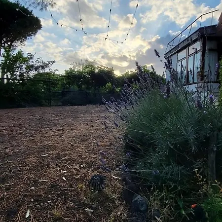 Tenuta Sgb - Il Profumo Del Vino Etna Nicolosi