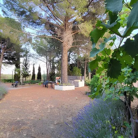 Villa Tenuta Sgb - Il Profumo Del Vino Etna *