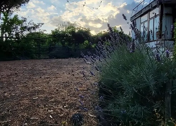 Tenuta Sgb - Il Profumo Del Vino Etna Nicolosi